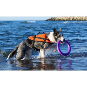 Kapok kamizelka asekuracyjna do wody dla psa zwierzaka Aquarius Pupil